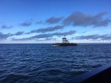 Ferry Schedules for 12/24 and 12/25